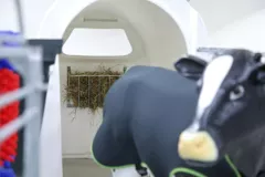 kerbl hooiruif klein delmofarm