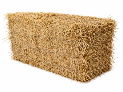 tarwestro 20kg delmofarm
