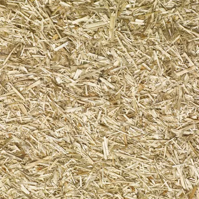 jopack vlaslemen delmofarm