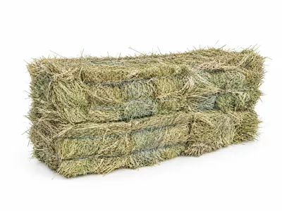 30kg hooi delmofarm