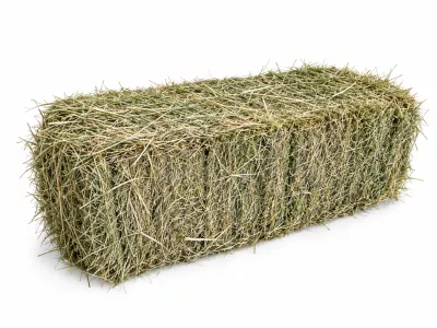 30kg hooi delmofarm