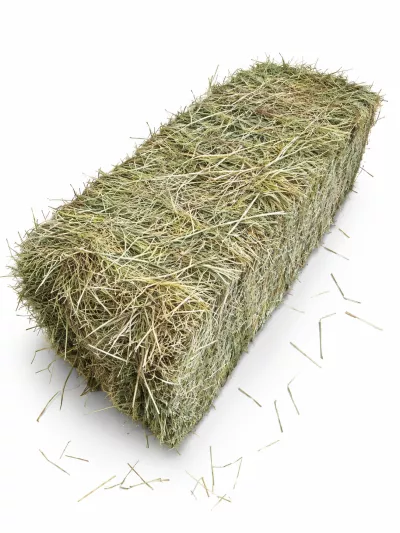 30kg hooi delmofarm