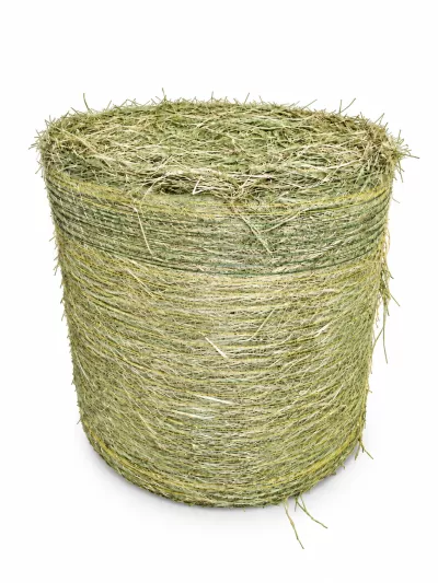 ronde baal 350 kg delmofarm