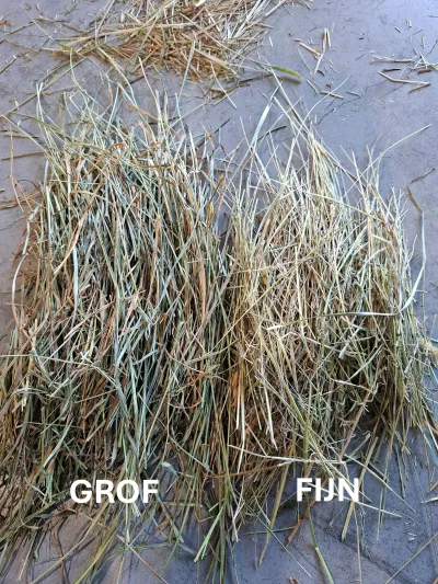 ronde baal hooi delmofarm