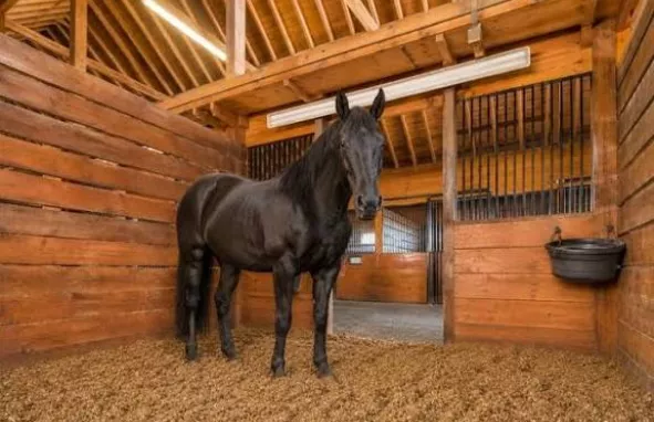 gestrooide stal delmofarm