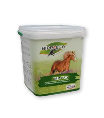 hippalgo msm plus delmofarm