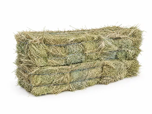 30kg hooi delmofarm
