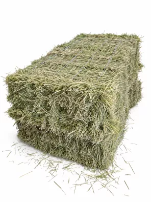 30kg hooi delmofarm