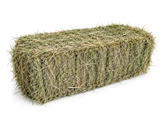 30kg hooi delmofarm