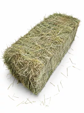 30kg hooi delmofarm