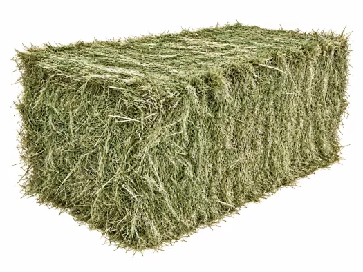 weidehooi 500kg delmofarm