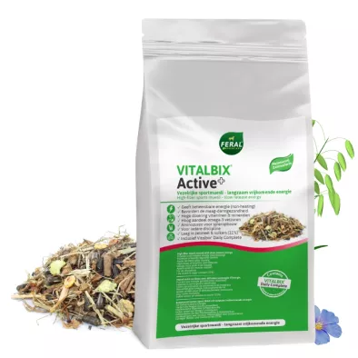 vitalbix active delmofarm