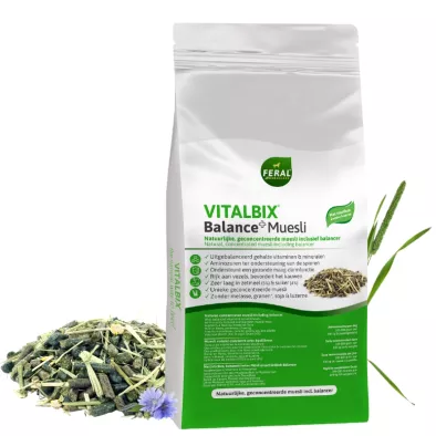 vitalbix balance delmofarm