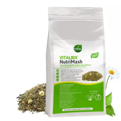 vitalbix nutrimash delmofarm