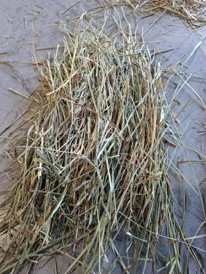 ronde baal grof delmofarm
