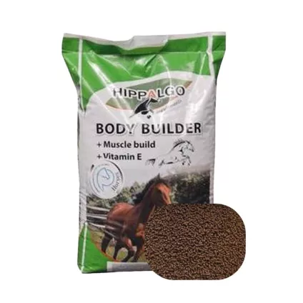 hippalgo bodybuilder delmofarm