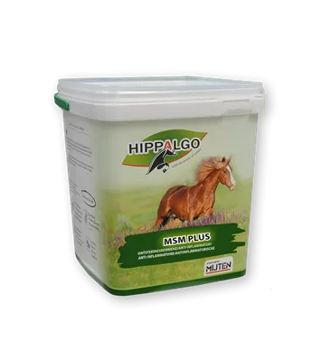 hippalgo msm plus delmofarm