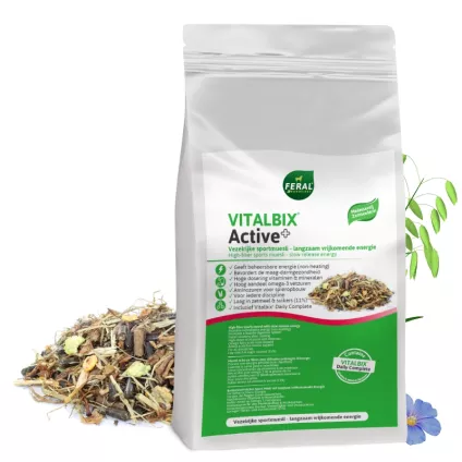 vitalbix active delmofarm