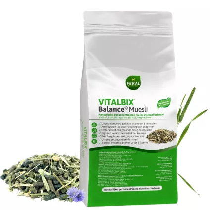 vitalbix balance delmofarm